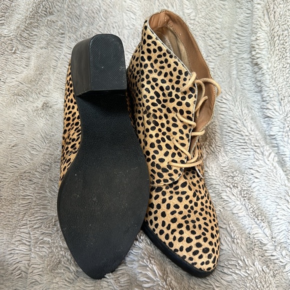 Like new Steve Madden ShoeMint cheetah haircalf lace-up heeled ankle booties - Picture 2 of 4